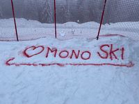 Mono- Ski